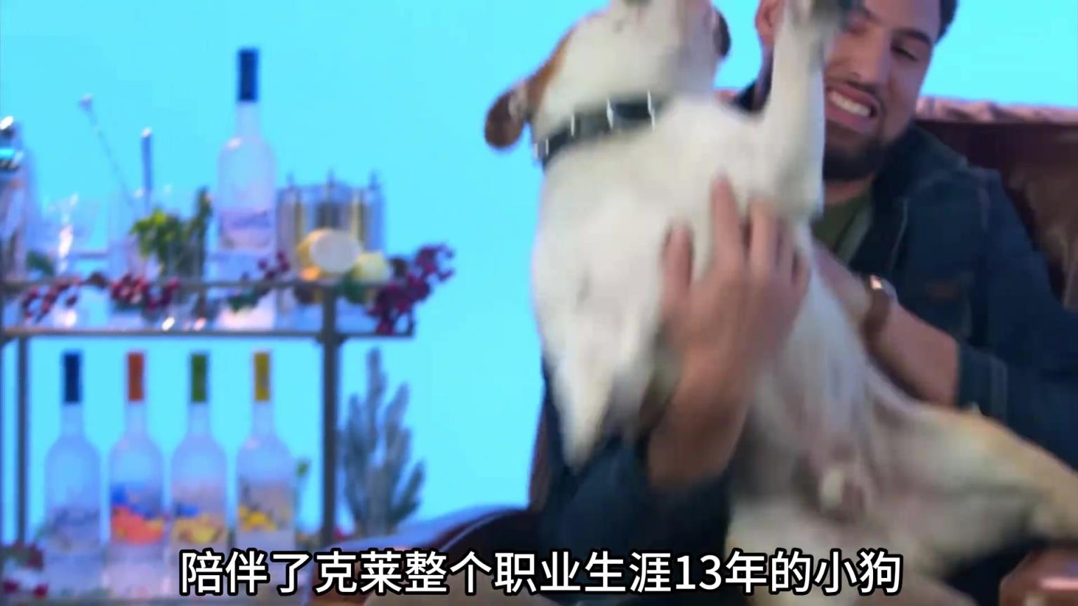 陪伴克萊13年的小狗去世了，不敢相信克萊得多么傷心